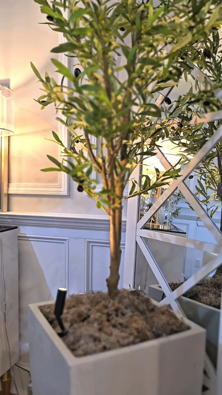 Added this 7ft  faux olive tree to this corner of the Dining Room

#LTKHome #LTKU