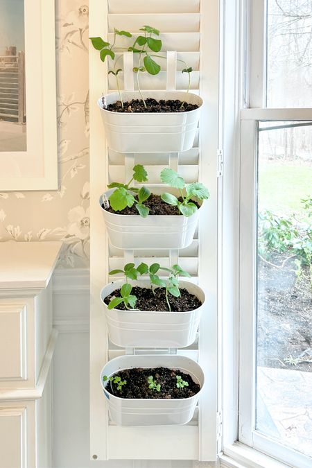 White galvanized metal hanging planters with removable arms & drainage holes for indoor/outdoor gardening & seed starting. Seedlings, gardening, homestead, organic, potting soil, vertical garden, vegetable, herb gardening at home

#LTKhome #LTKSeasonal