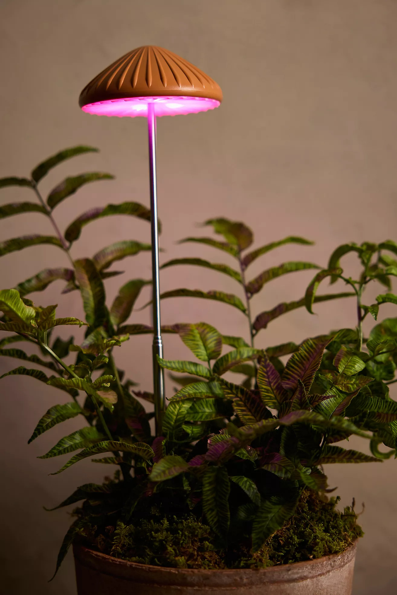 Mushroom LED Grow Light | Anthropologie (US)