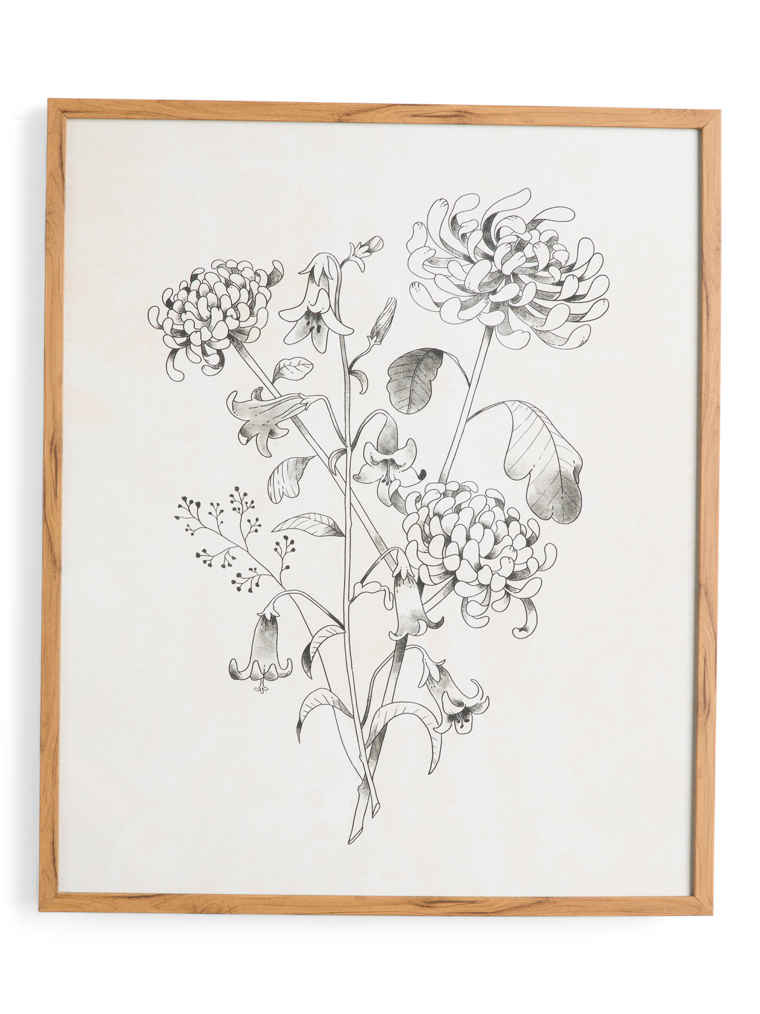 20x24 Botanical Wall Art | TJ Maxx