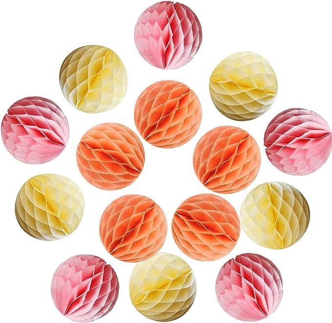 YLY's love 30pcs 4inch Pom Poms Tissue Paper Honeycomb Balls Flower Ball Wall Decor Pom Poms Deco... | Amazon (US)