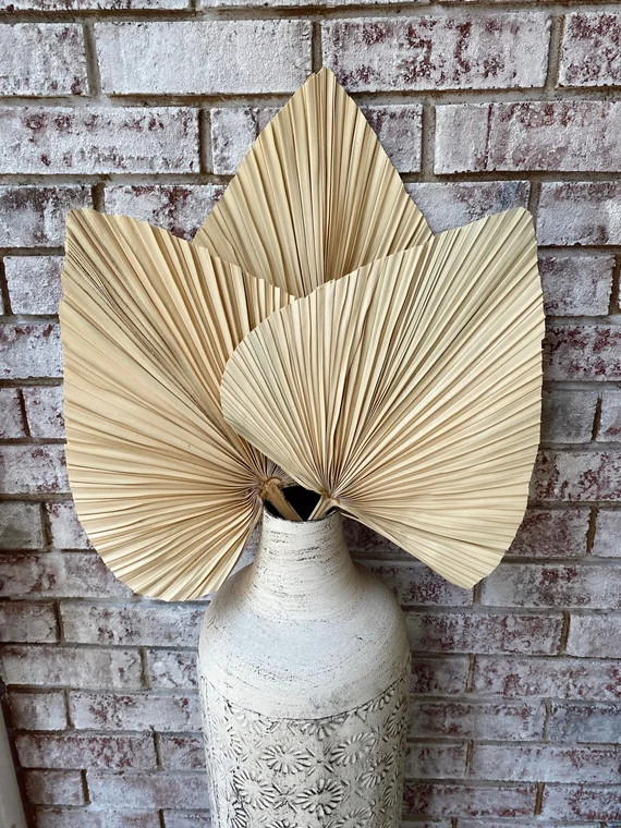 Dried Palm Spear | 3 Piece Large Natural Trimmed Palm | Home Decor, Boho Wedding Decor, Dried  Bo... | Etsy (US)