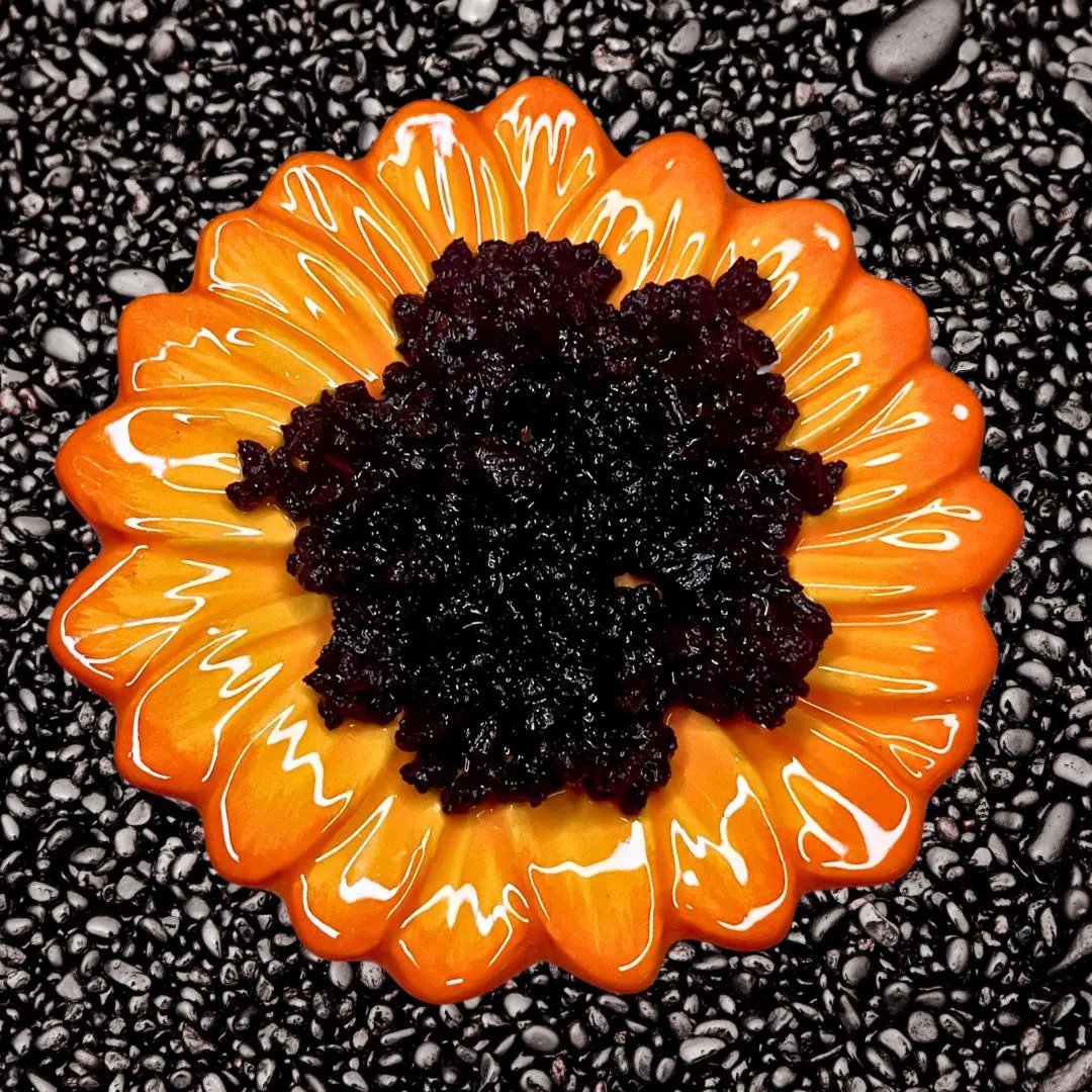 Live Hawaiian Black Sand for Hermit Crabs - Etsy | Etsy (US)