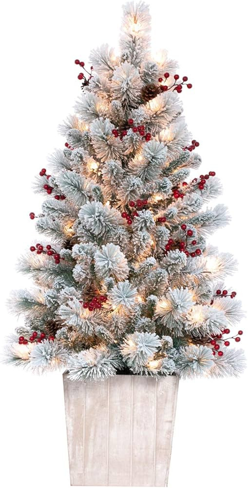 Haute Decor 4 Foot Pre-lit Ashcroft Artificial Frosted Fir Potted Christmas Tree with 100 Soft Wh... | Amazon (US)