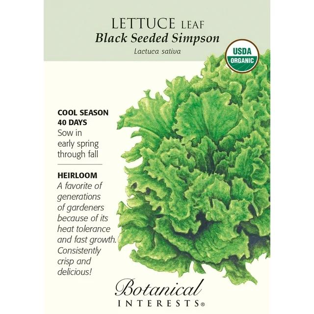 Black Seeded Simpson Lettuce Seeds - 1 gram - Organic | Walmart (US)