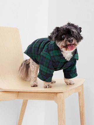 Dog PJs | Gap (US)