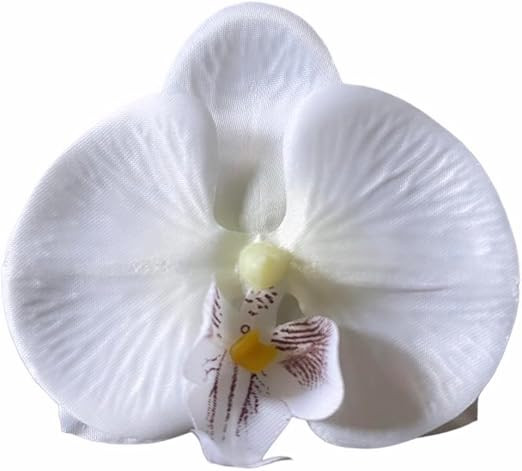 Presilha de orquídea artificial branca realista para cabelo, penteados, noivas, madrinhas, batiz... | Amazon (BR)
