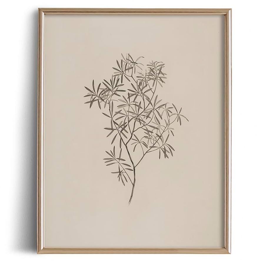 Botanical Plant Leave Drawing Print Poster - Flower Floral Etching Rustic Picture - Vintage Farmh... | Amazon (US)
