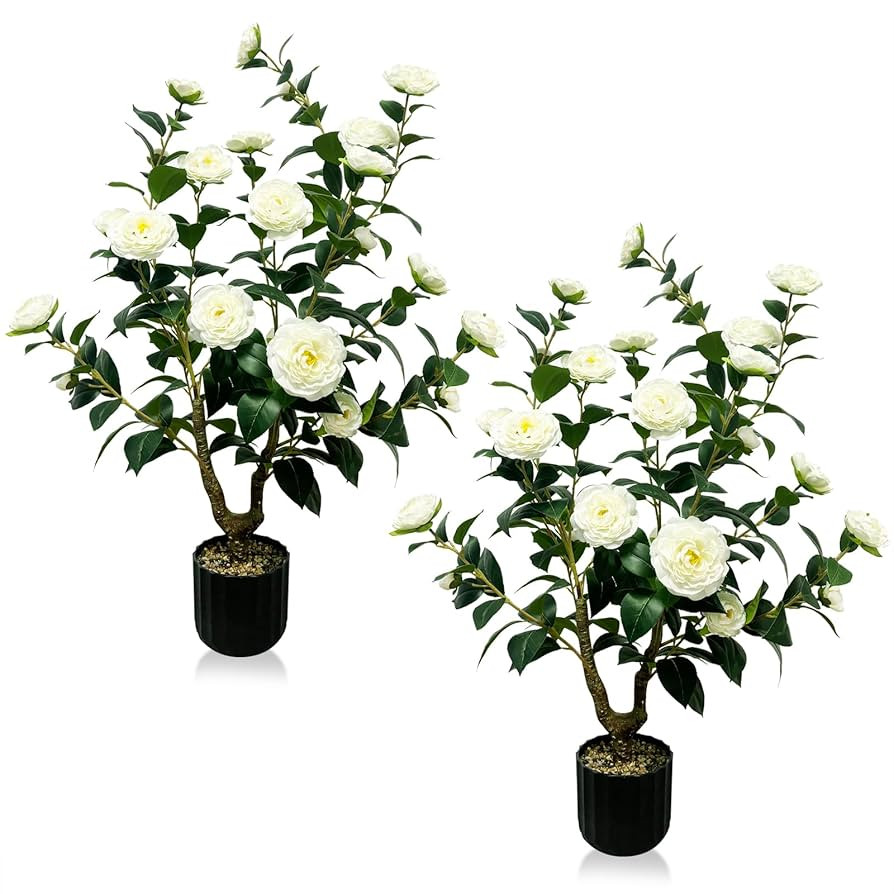 Tall Artificial 2Pack White Camellia Tree Potted Bushes UV Resistant Potted Plants for Indoor Out... | Amazon (US)