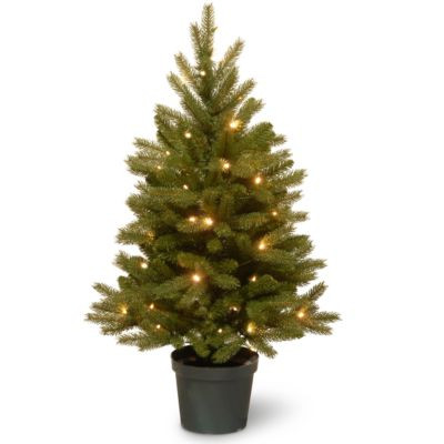 National Tree 3' Jersey Fraser Fir Tree with Battery-Operated Warm White LED Lights - Macy's | Macy's