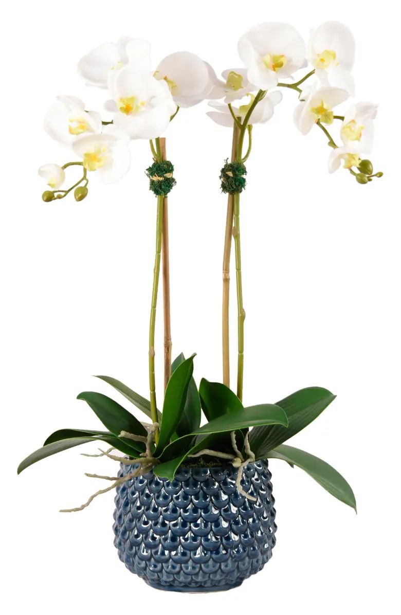 Pearl Orchid Planter Decoration | Nordstrom