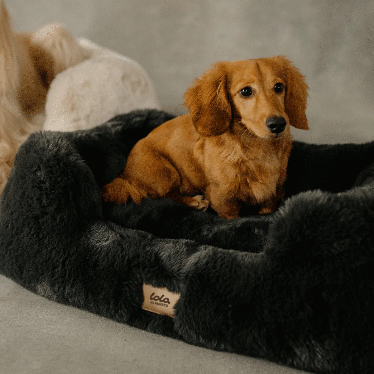 The Lola Pet Bed | Charcoal Grey | Lola Blankets