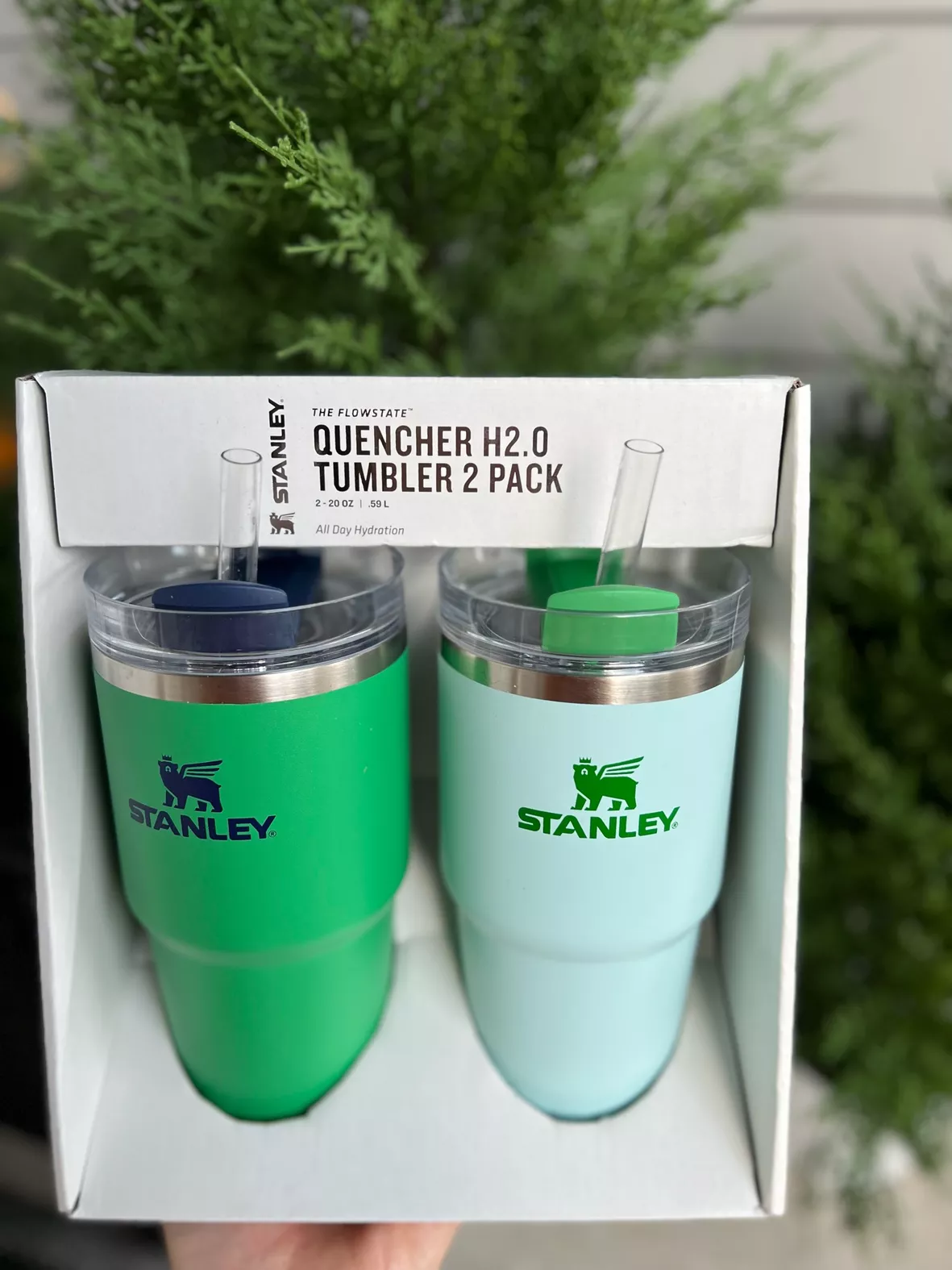 Stanley Quencher H2.0 Tumbler 2 Pack 20 OZ - Kelly Green Watercolor Blue  for sale online