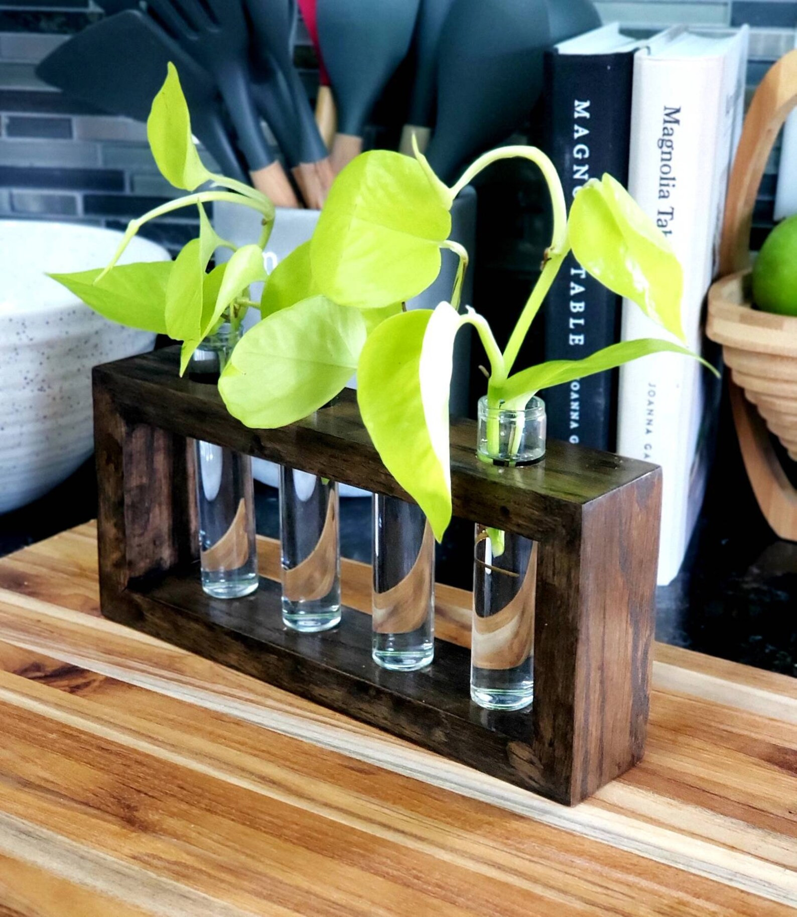 Plant Propagation Station - Hang or Stand Up - Tubes Included | Etsy (US)