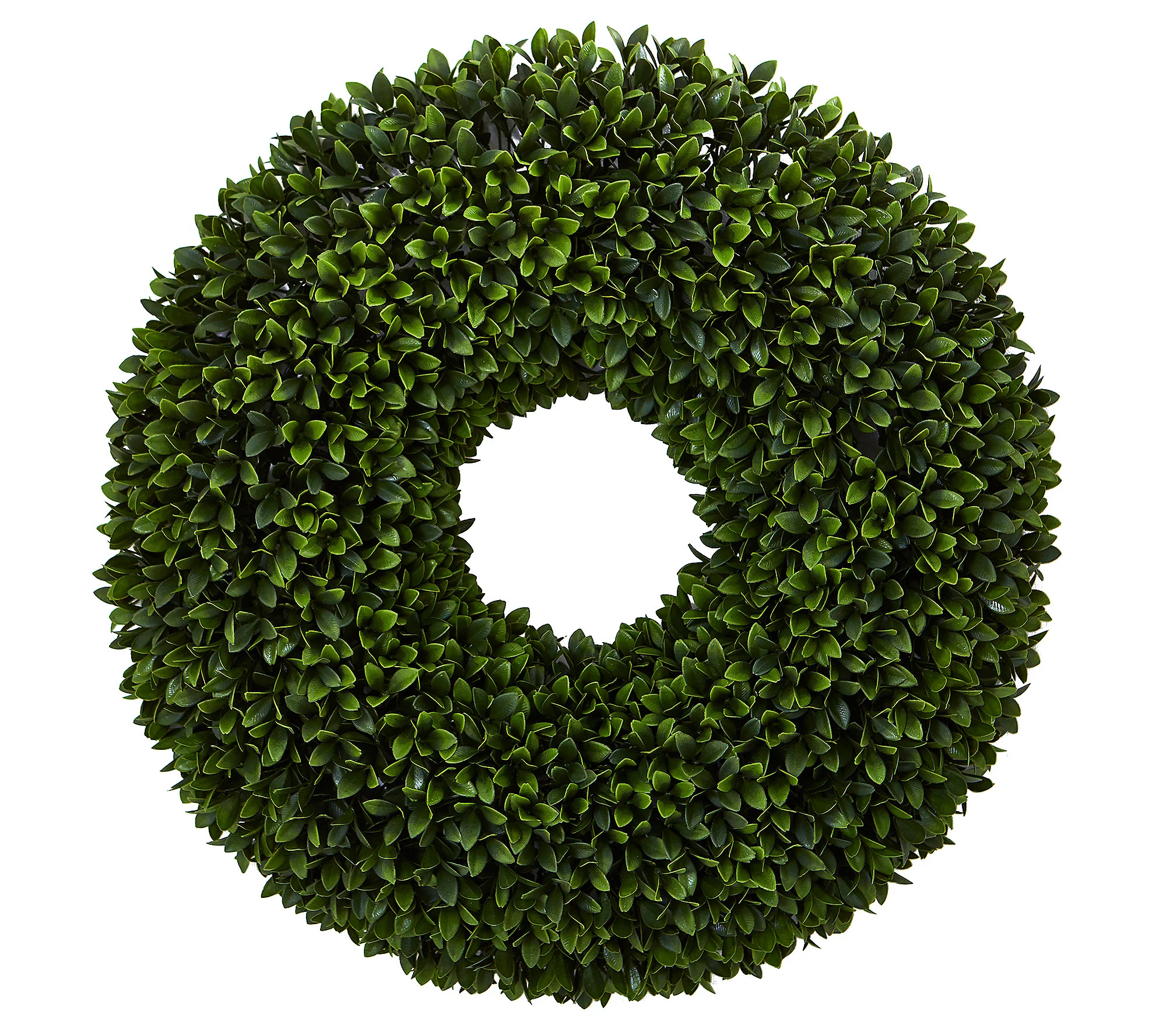 24"" Boxwood Artificial Wreath by Nearly Natural | QVC