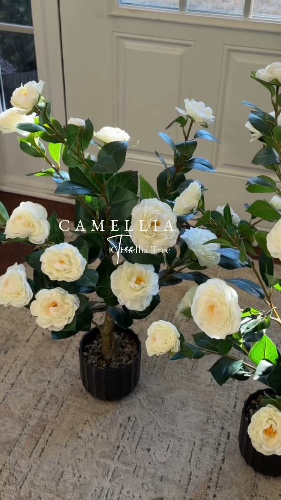 2 Pcs Artificial Camellia Trees for Spring Home Decor #spring #homedecor #flowers #home

#LTKHome
