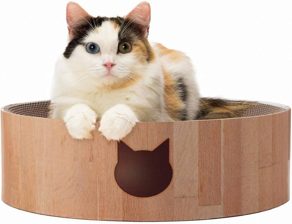 Necoichi Cozy Cat Scratcher Bowl, 100% Recycled Paper, Chemical-Free Materials, No.1 sellr in Jap... | Amazon (US)
