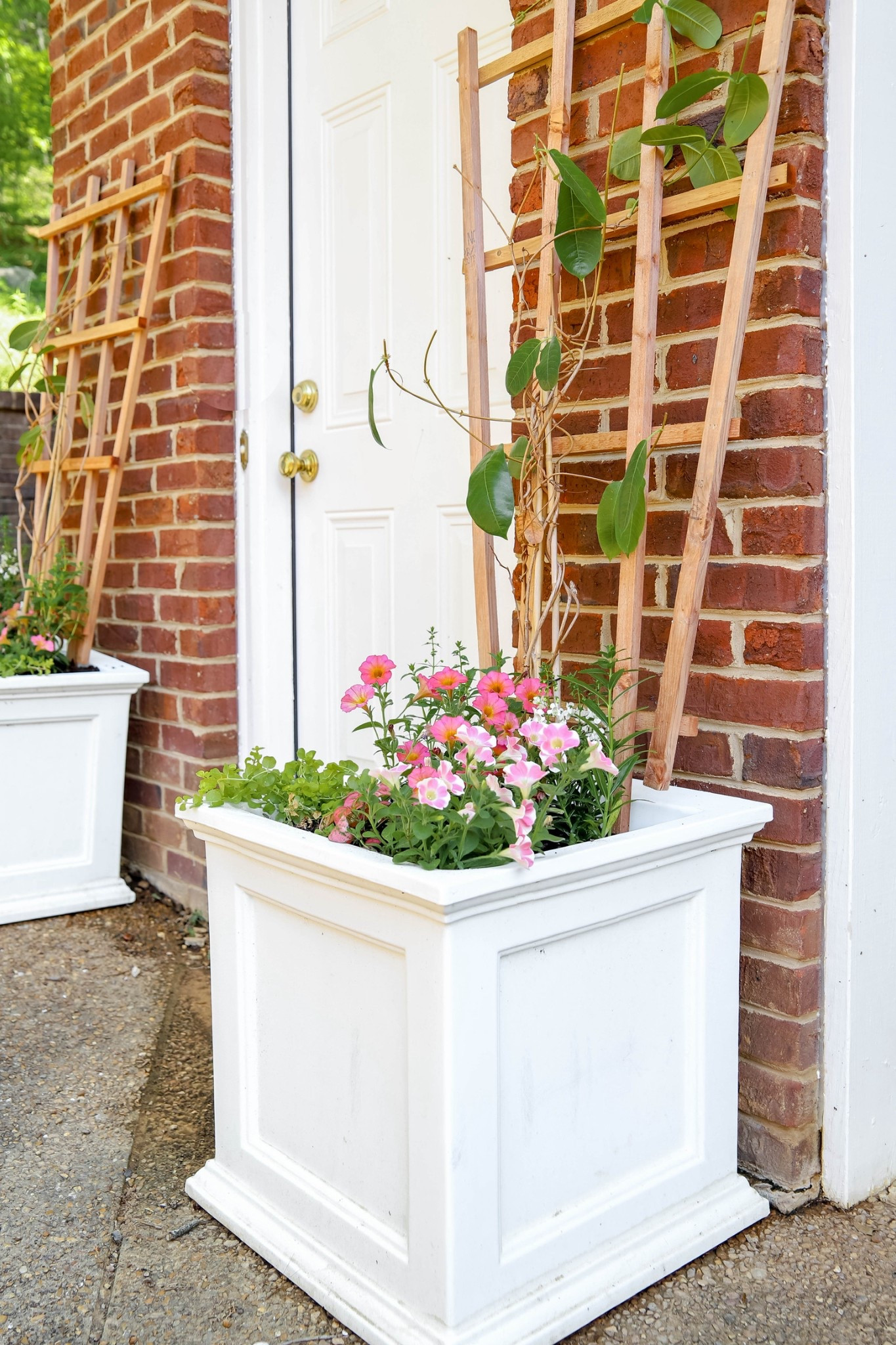 These large white planters are great for your favorite plants.

#LTKHome