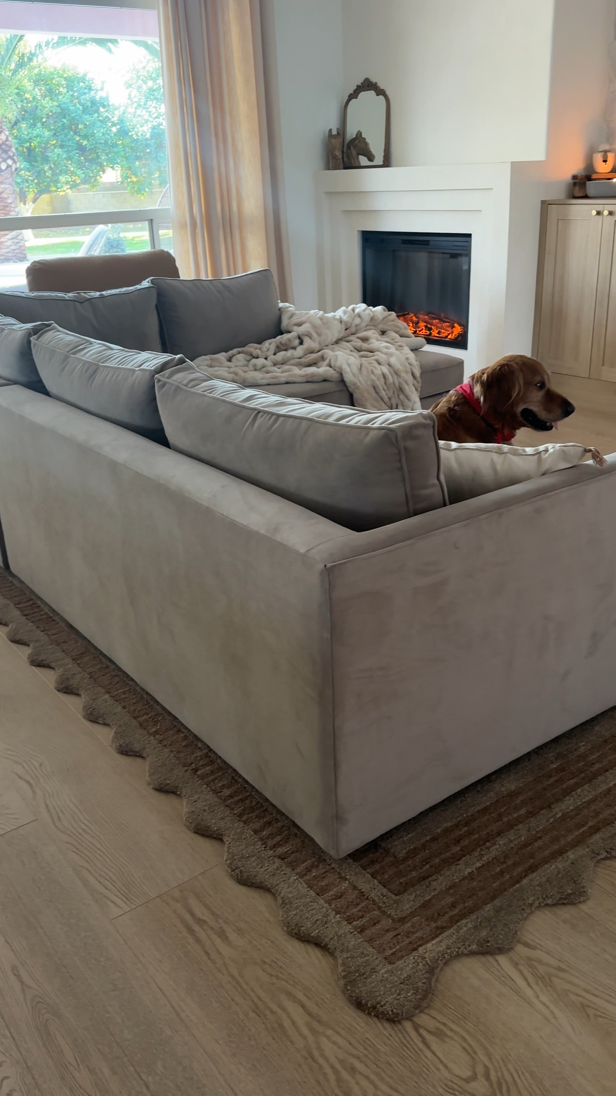 Sharing our new area rug from Wayfair! We got the brown in a size 8’6x11’6
Our couch is from west elm in the color mocha 

Home decor 
Furniture 
Rugs 


#LTKHome #LTKStyleTip #LTKSeasonal