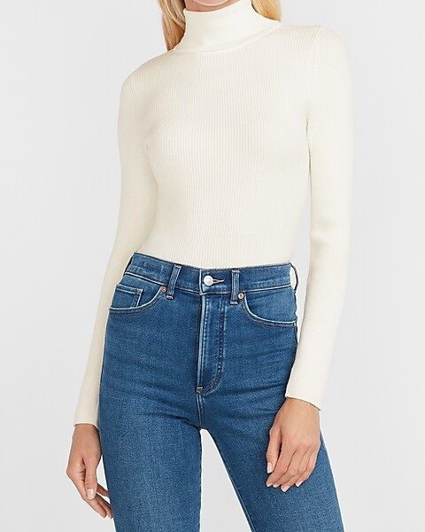 Fitted Ribbed Turtleneck Sweater | Express