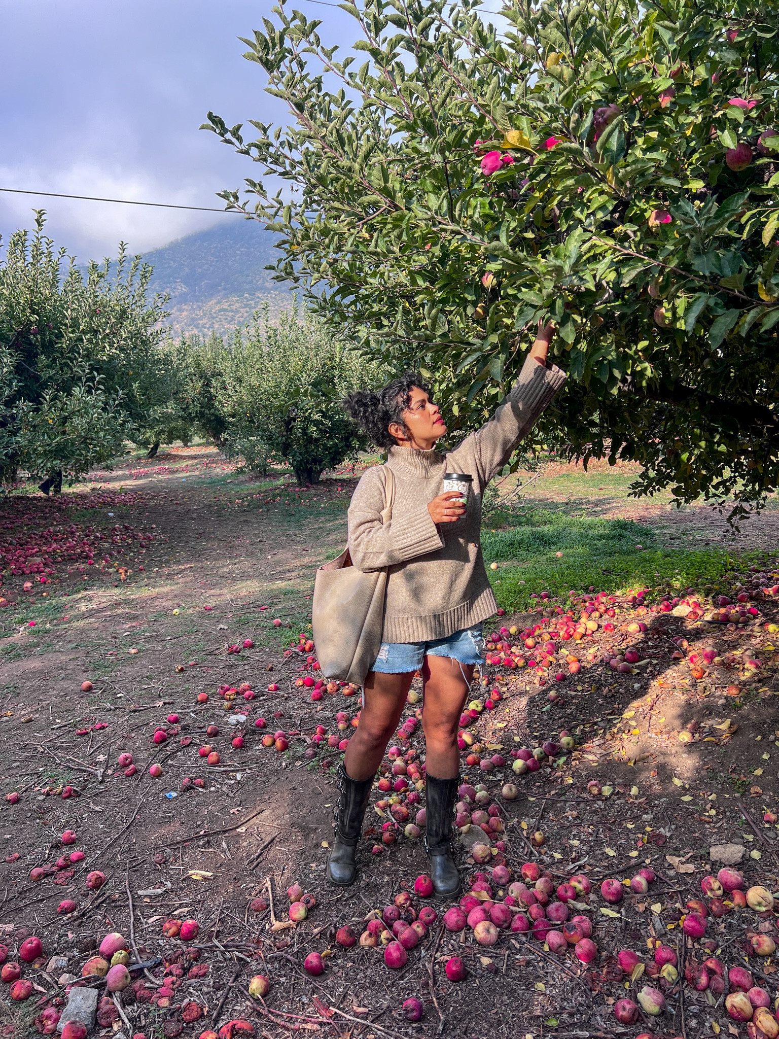 cozy girl fall 

#LTKtravel #LTKSeasonal #LTKHalloween