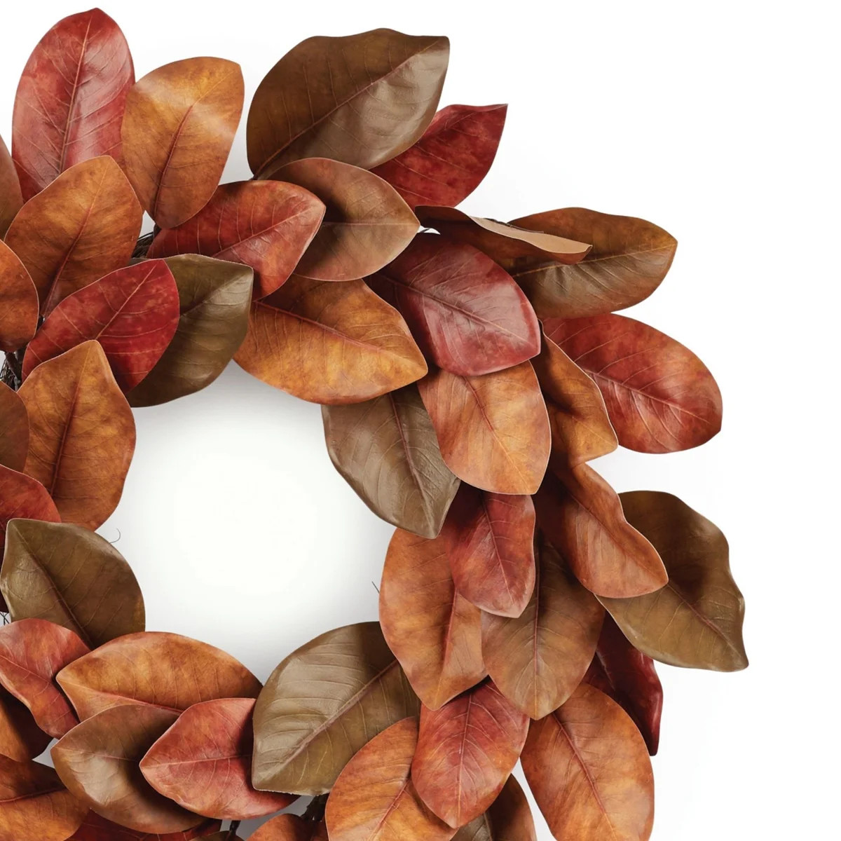 Fall Magnolia Leaf Wreath 24"D | Wayfair North America