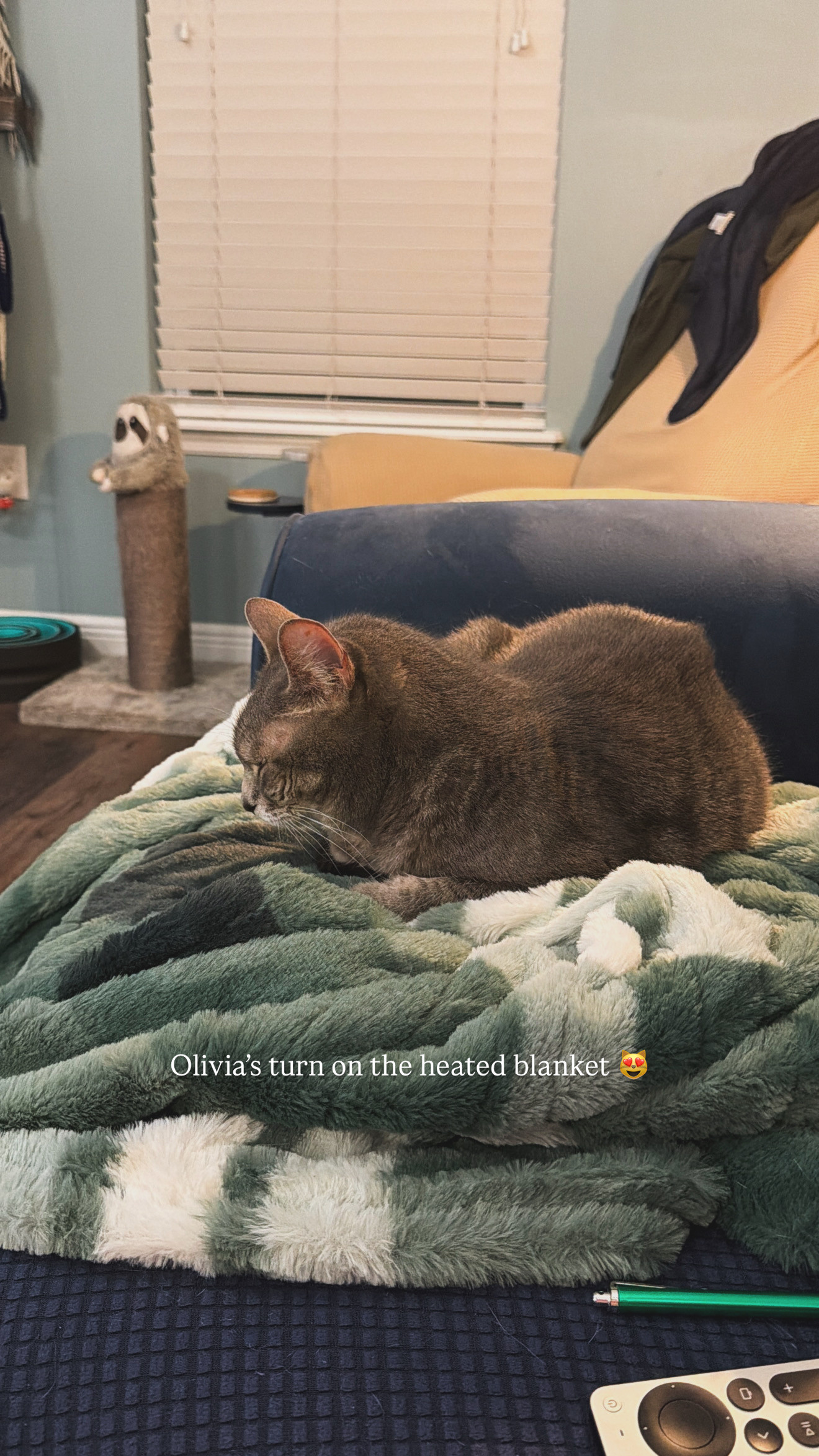 This heated blanket has been one of my best winter purchases. My cat Olivia claims it as her cozy spot every evening, and honestly, I don't blame her. It's soft, stays warm without overheating, and the plaid pattern fits perfectly with our cozy living aesthetic. A little luxury that's worth every penny. Comes in a few great colors, too! I love this green and white plaid.  

 #LTKdayinmylife #LTKSeasonal #LTKHome
