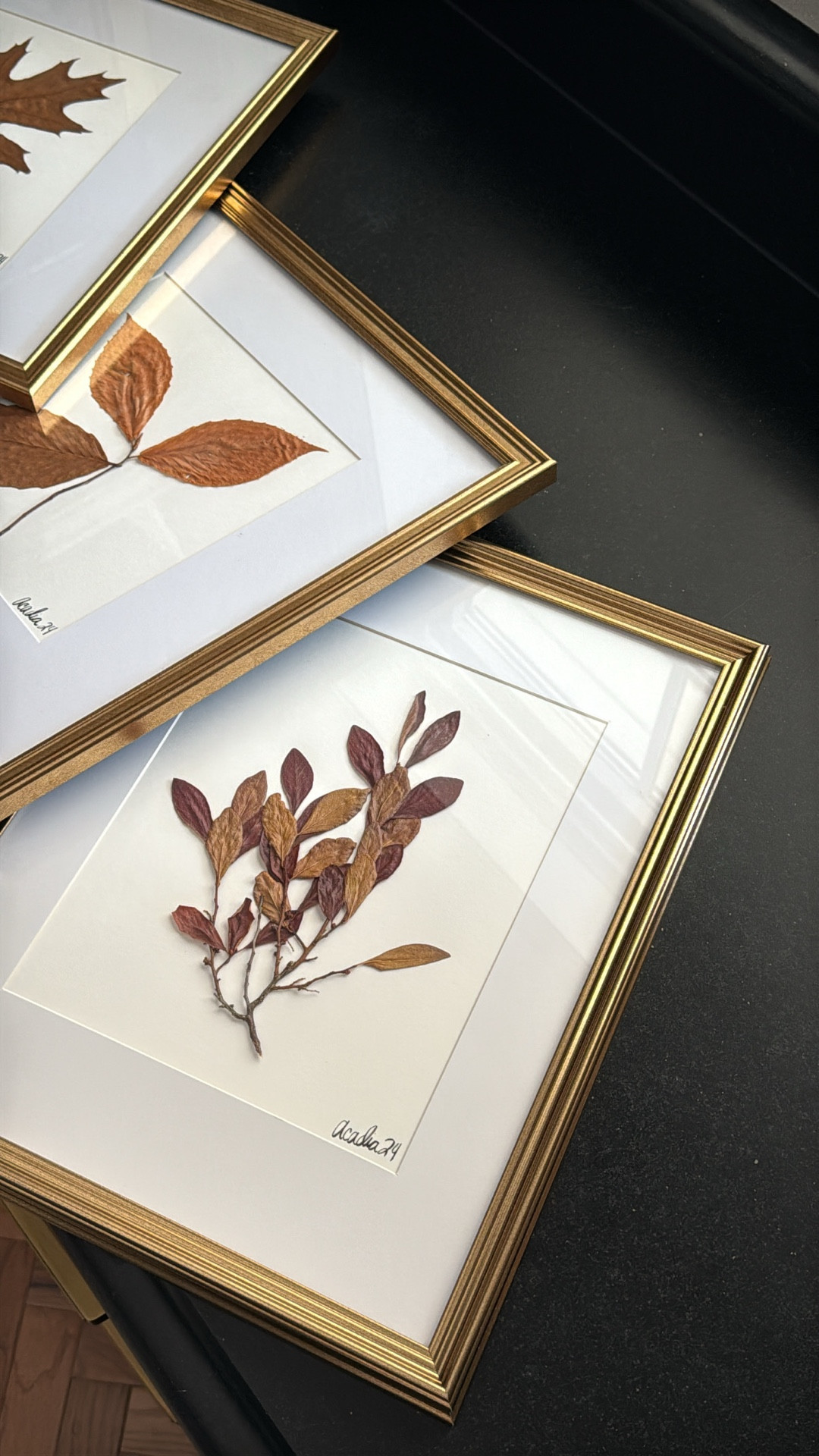 My favorite frames for fall styling... I love pressing leaves this time of year!

#LTKSeasonal #LTKHome