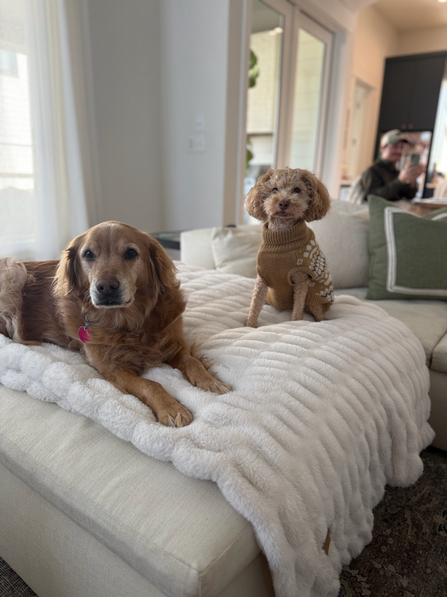 45% off Lola blankets sale! Code: OLIVIAAUSTIN45

#LTKSaleAlert #LTKHome