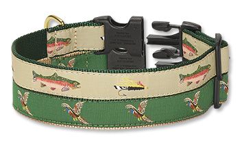 Sporting Dog Collar and Leash | Orvis (US)