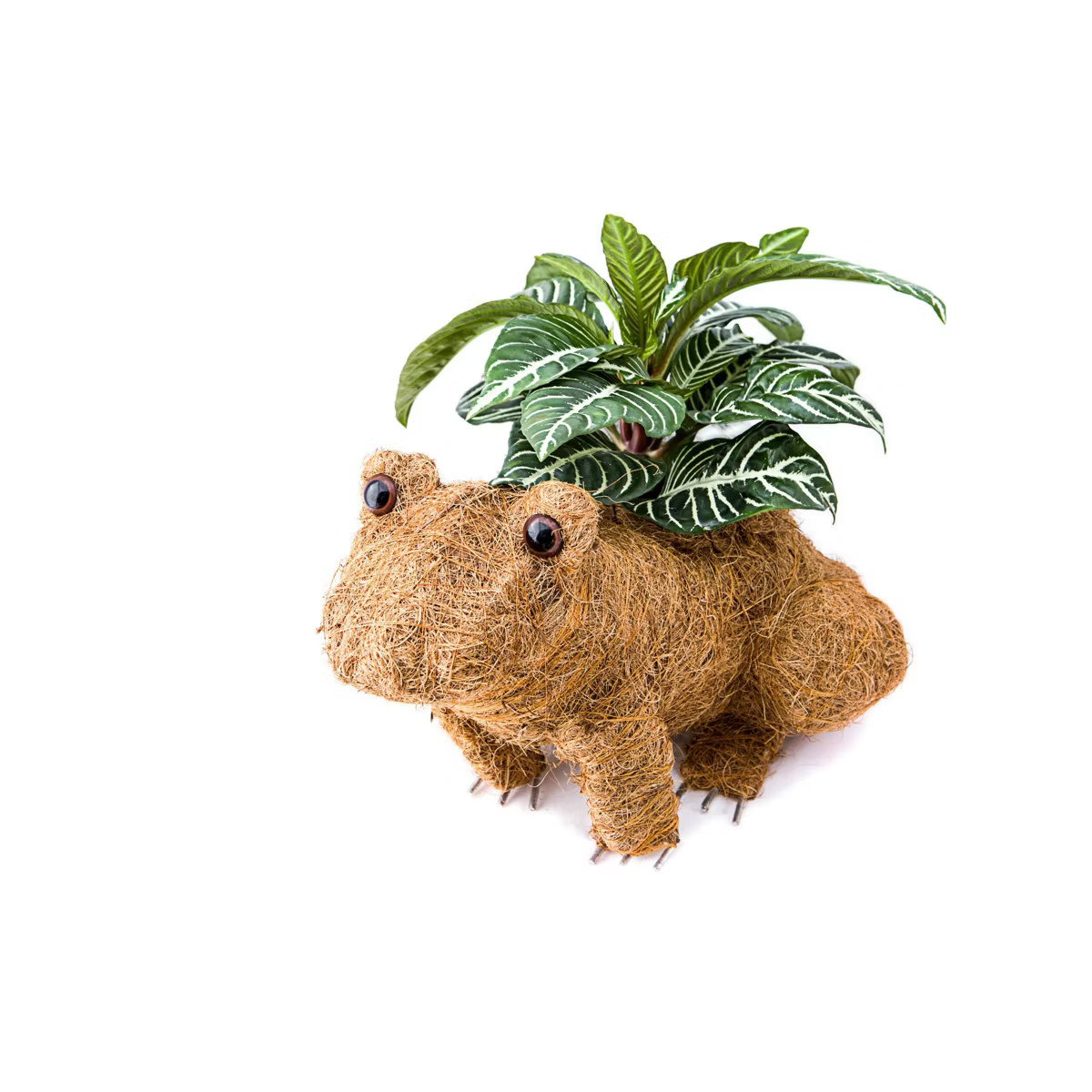 Ultimate Innovations Coco Animal Coir Novelty Planters | Target