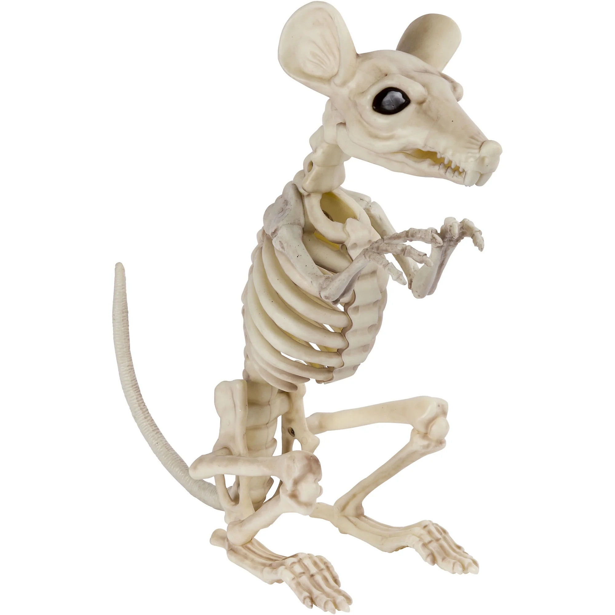 Halloween Animal Skeleton Assortment - Walmart.com | Walmart (US)