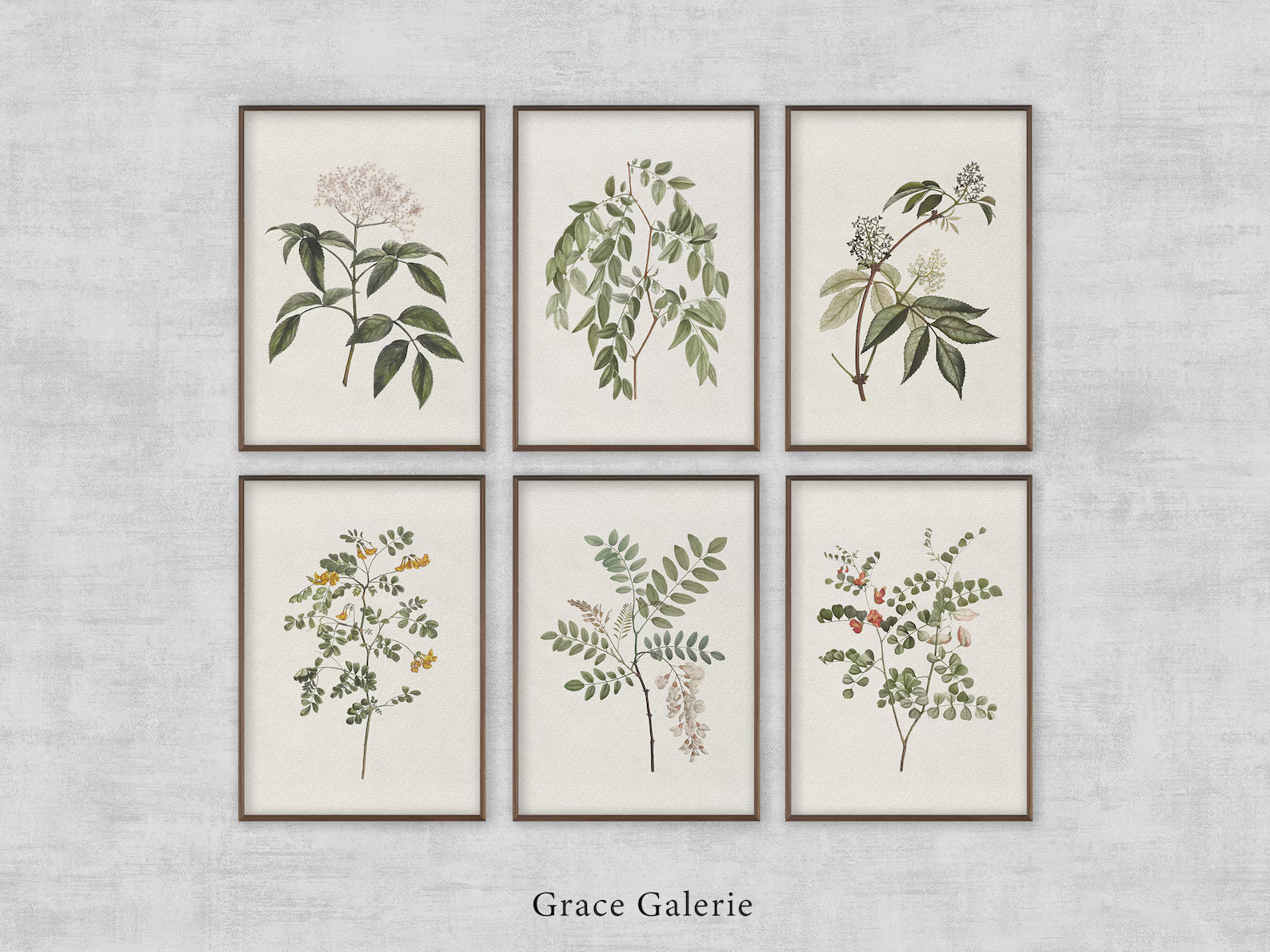 Vintage Botanical Gallery Wall Print | Set of 6 | Rustic Wall Decor PRINTABLE Digital - Etsy | Etsy (US)
