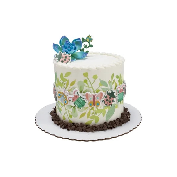 BEAUTIFUL BUGS BARREL CAKE | Walmart (US)