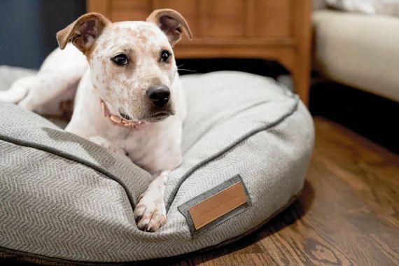 Round Bed in Foggy Feline // Designer Dog Bed for Small to X-Large Dogs // Herringbone Grey Pet B... | Etsy (US)