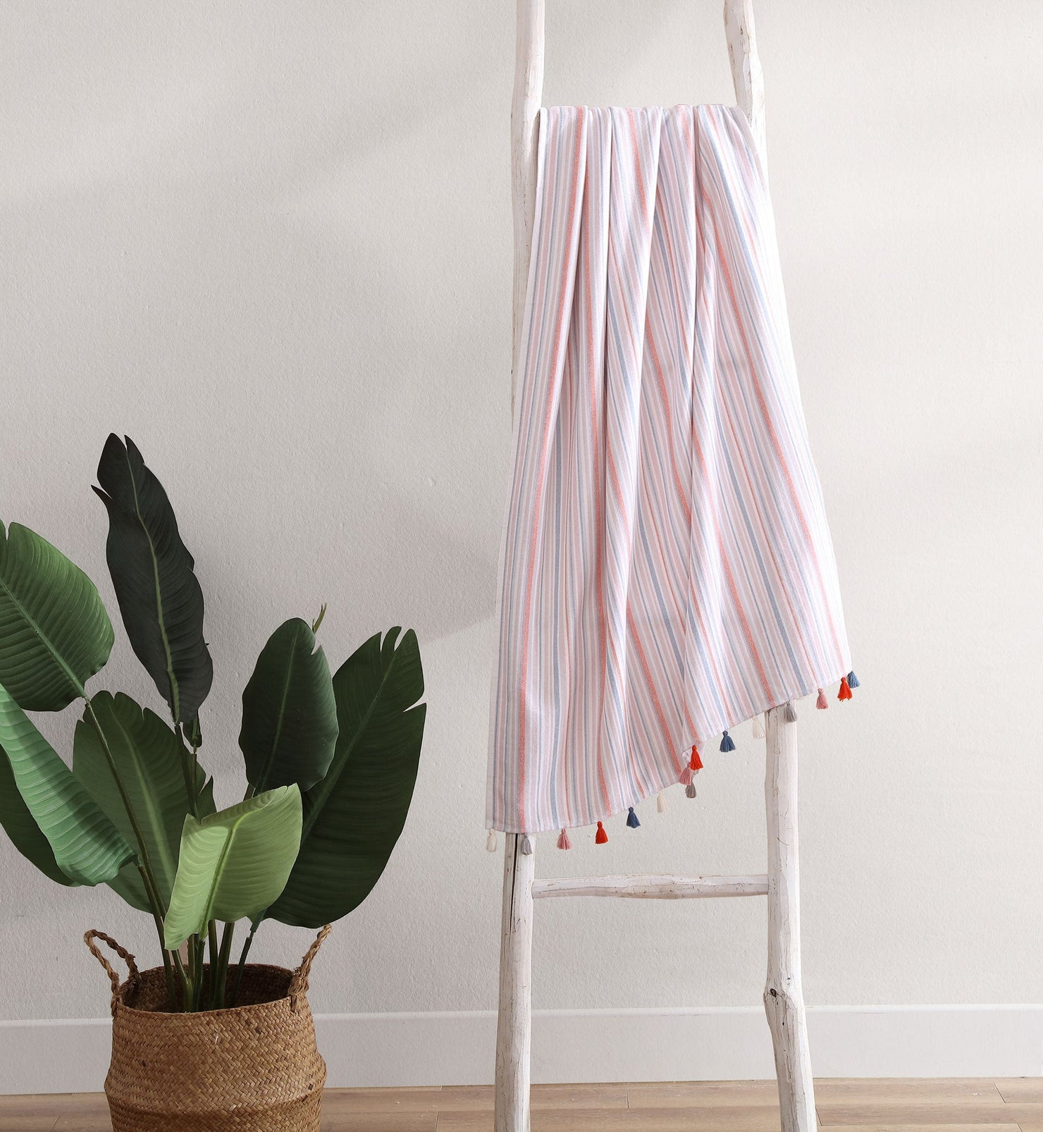 Sunday Citizen | Sunday Citizen