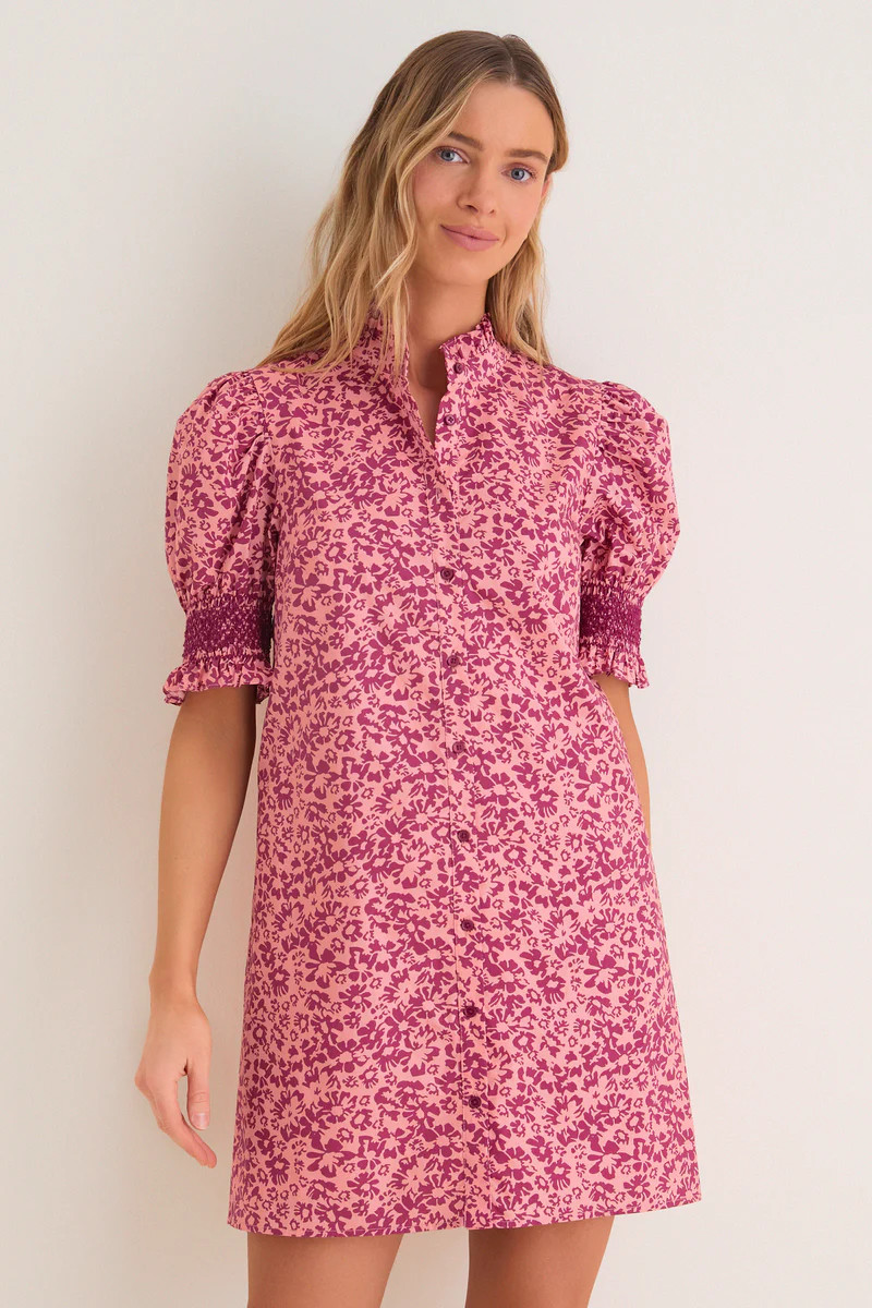 Pink & Maroon Ditsy Floral Lou Lou Mini Dress | Tuckernuck (US)