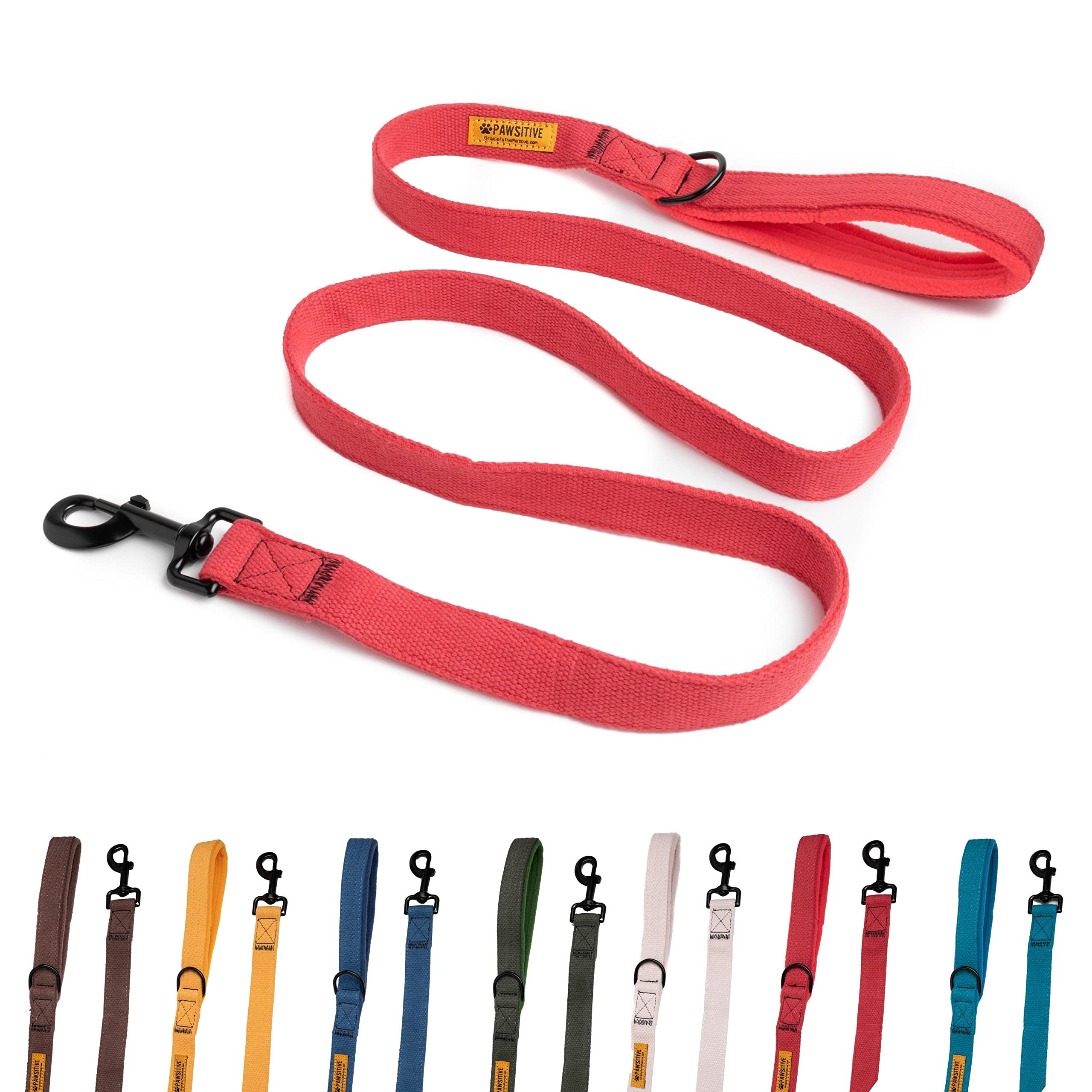 Pawsitive Hemp Leash - 5ft Long, with a Padded Handle for Extra Comfort. Made from Durable, Machi... | Amazon (US)