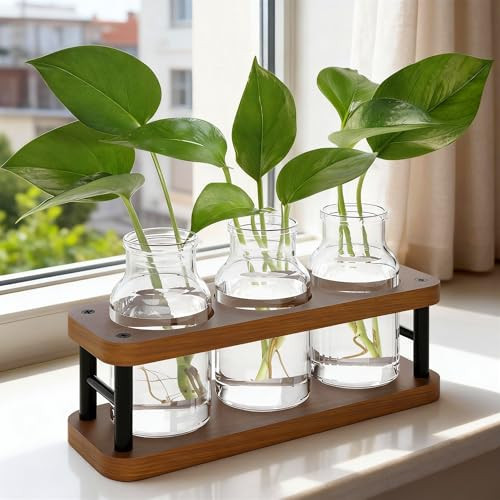 THYGIFTREE Plant Propagation Station with Wooden Stand, Propagation Vases Glass Planters for Indoor Plants Hydroponic Propagating Jars Home Office Decor, Brown | Amazon (US)