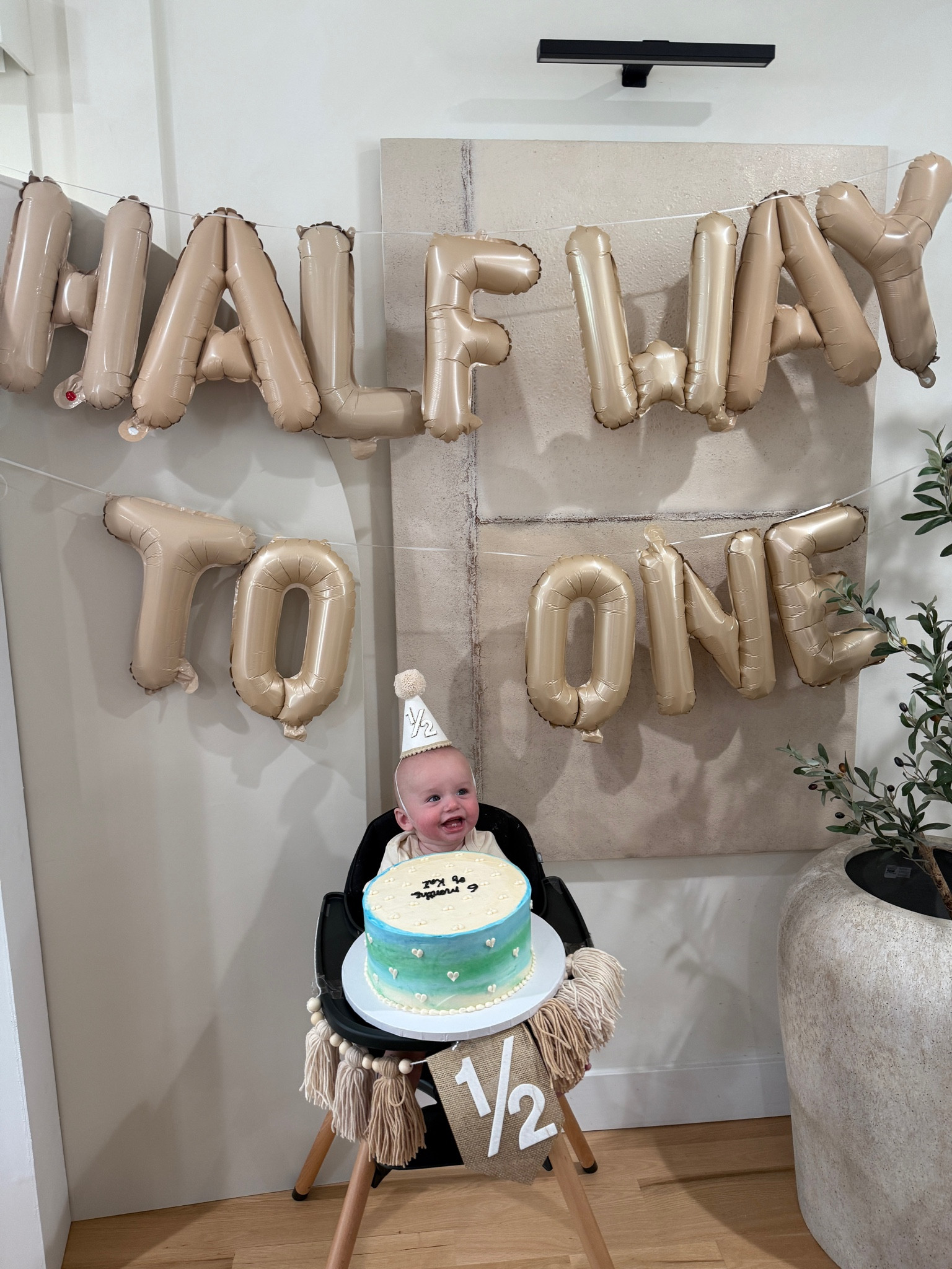 6 months of Kai perfect day celebrating ❤️

#LTKParties #LTKHome #LTKFamily