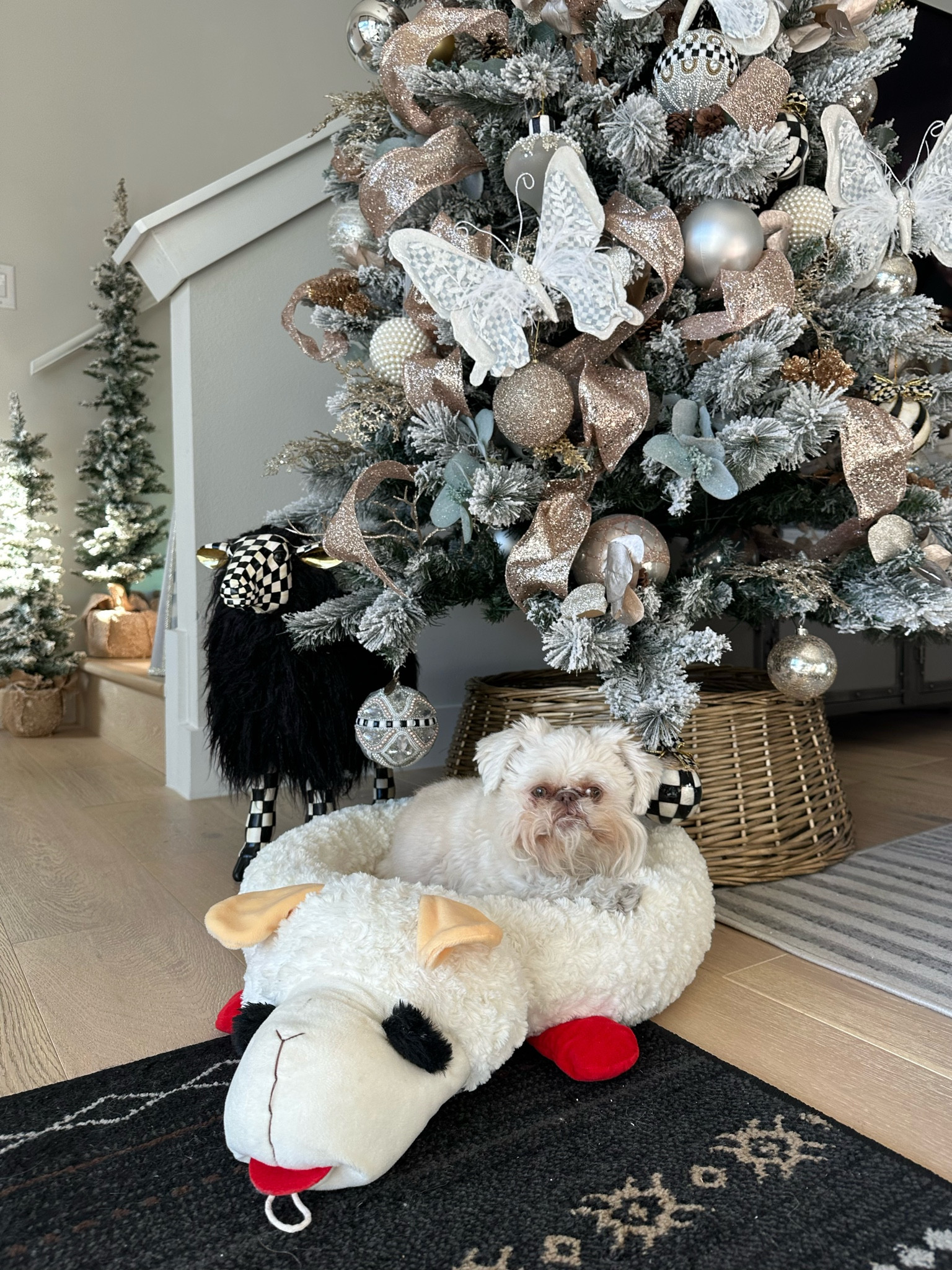I found the boys Lambchop bed on major sale!! 45% off and only $30 from $55!

Christmas gifts, dog beds, lamby bed, chewy 



#LTKFamily #LTKHome #LTKHoliday