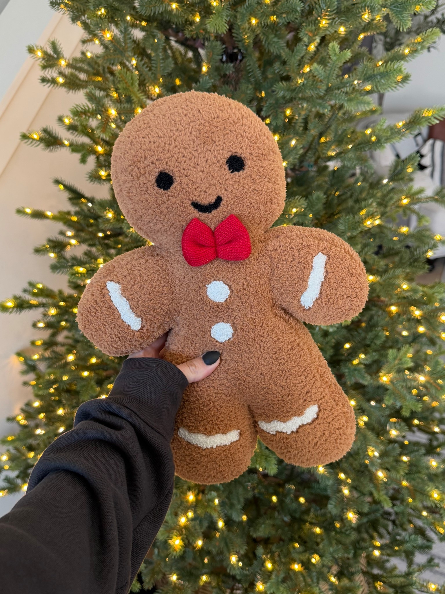 Found the latest gingerbread man pillow and it’s only $20!

#LTKHoliday #LTKHome #LTKSeasonal