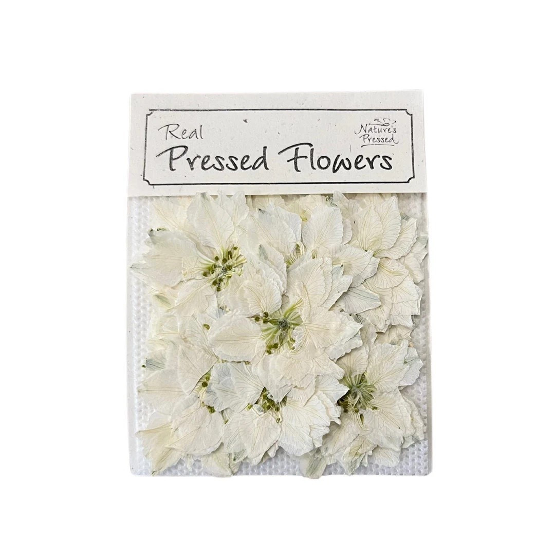 These naturally pressed white blossoms add beautiful texture and organic charm to any creative project 🤍 With delicate, spiky clusters and subtle natural variation, each piece feels truly one of a kind. Perfect for resin art, paper crafts, framing, or floral DIYs, they’re a versatile supply for adding an authentic botanical touch.
#LTKfinds #EtsySupplies #PressedFlowers #BotanicalCrafts #FloralDIY #NatureInspired #CraftingSupplies

#LTKHoliday #LTKSeasonal #LTKHome