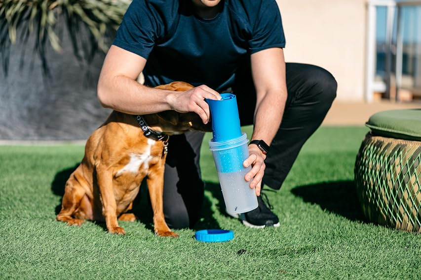 Dexas MudBuster Portable Dog Paw Washer/ Paw Cleaner | Amazon (US)
