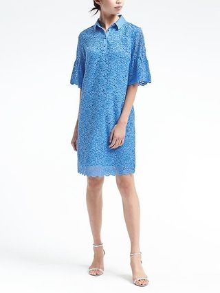 Banana Republic Womens Flutter-Sleeve Lace Polo Dress Light Blue Size L | Banana Republic US