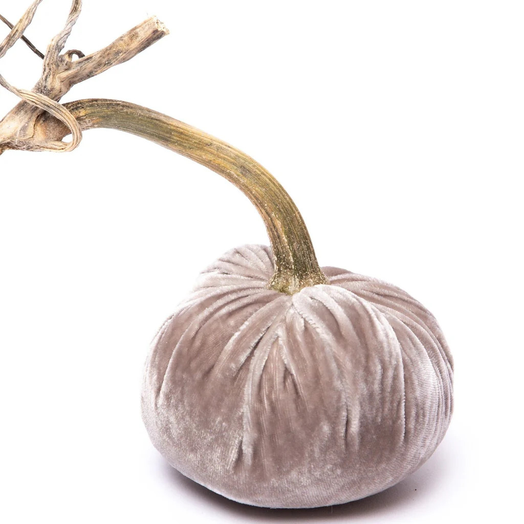 Putty Silk Velvet Pumpkin | Over The Moon