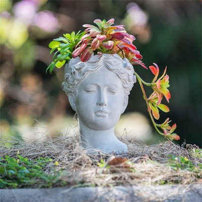 Clihome Outdoor Home Garden Decor Greek Style Cement Head Planter | Target