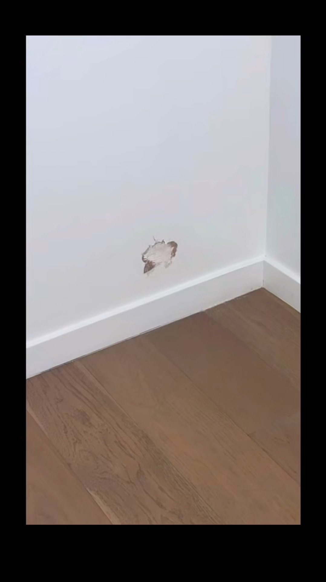 My dog decided to decorate the wall in her room 🙄 

#LTKHome