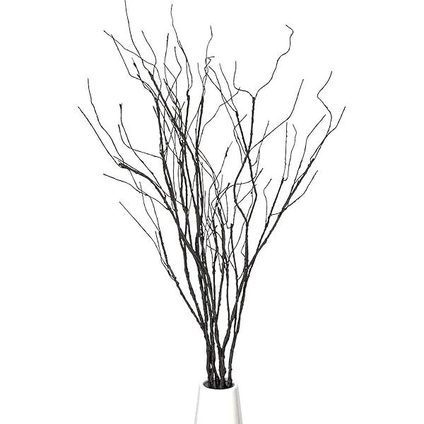 FeiLix 10PCS Lifelike Curly Willow Branches Decorative Dried Artificial Twigs, 30.7 Inches Fake Bend | Amazon (US)