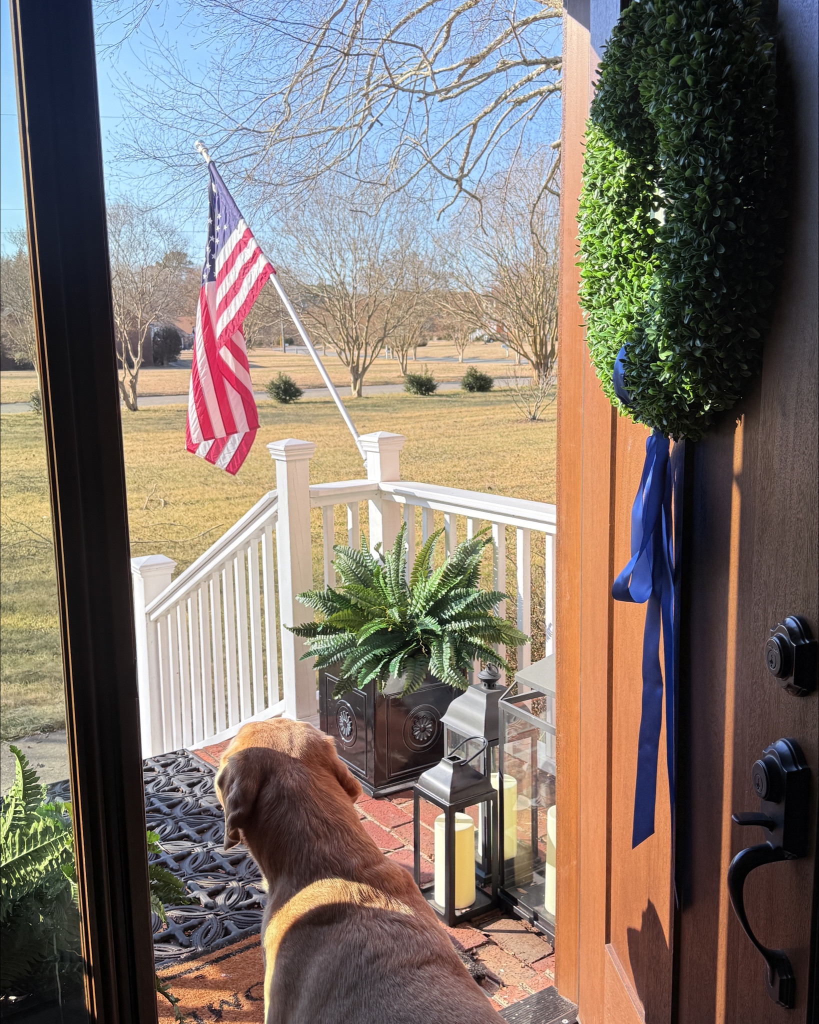 Home decor . Traditional Home decor ideas. Traditional Classic Home style . Outdoor decor . Faux Fern plant .

#ltk #ltkfind

#LTKSeasonal #LTKHome